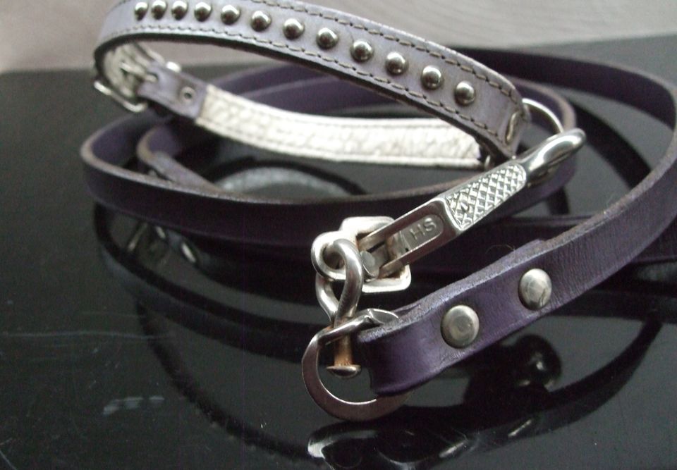 Hunde-Halsband mit Nieten und Leine flieder/ Leder - gebraucht in Herford