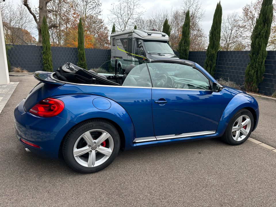 Volkswagen Beetle Cabrio 2.0 DSG neuwertig Wartung 100% VW 2 Hand in Rheinau