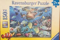 Ravensburger Puzzle 150 Teile Schleswig-Holstein - Kellinghusen Vorschau