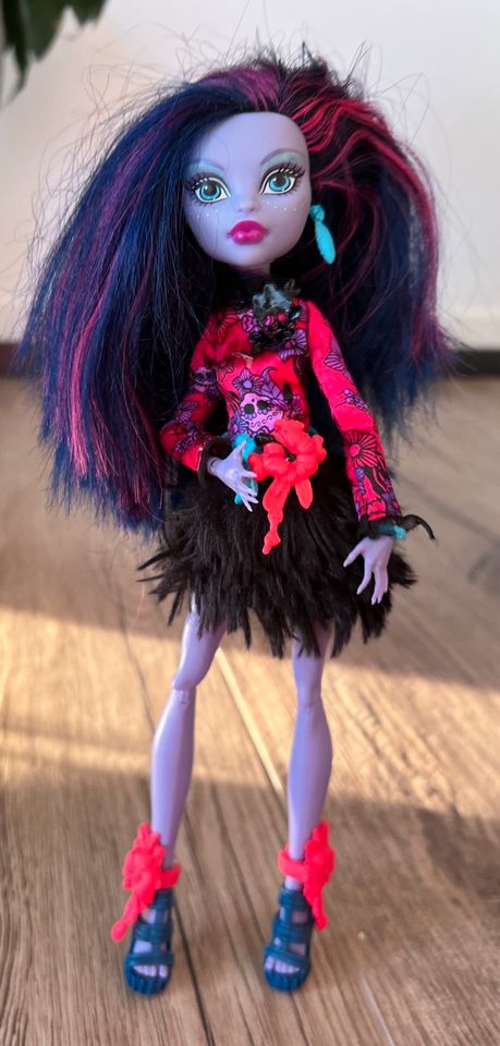 Mattel Monster High der große Schreckensriff Jane Boolittle Puppe in Merzig