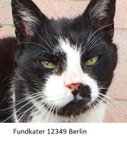 Besitzer v. Fundkater Berlin - Neukölln Vorschau