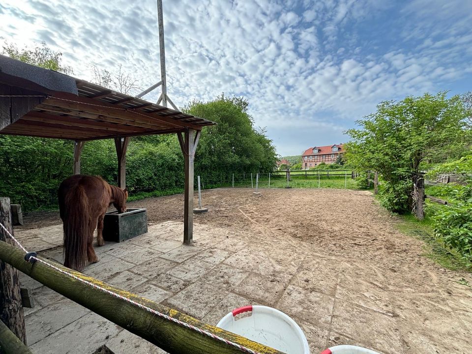 Paddock Offenstallplatz Offenstall  in Mönchevahlberg in Braunschweig