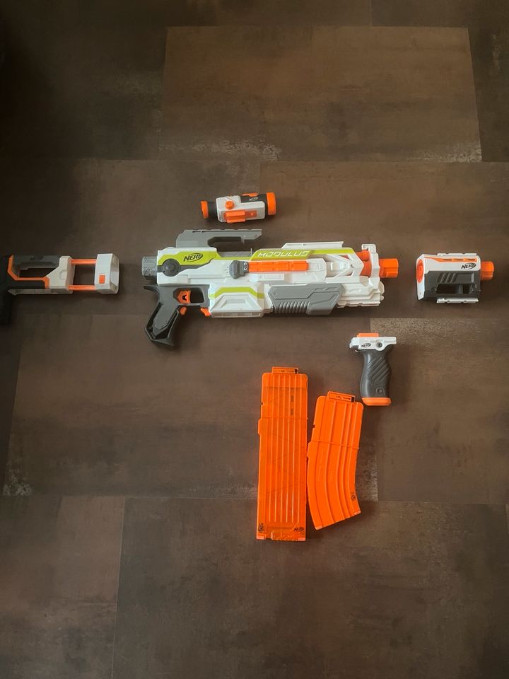 Nerf Modulus in Hasselfelde