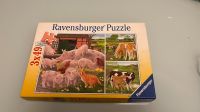 Ravensburger Puzzle 3 x 49 Teile, Bauernhof Hessen - Ortenberg Vorschau