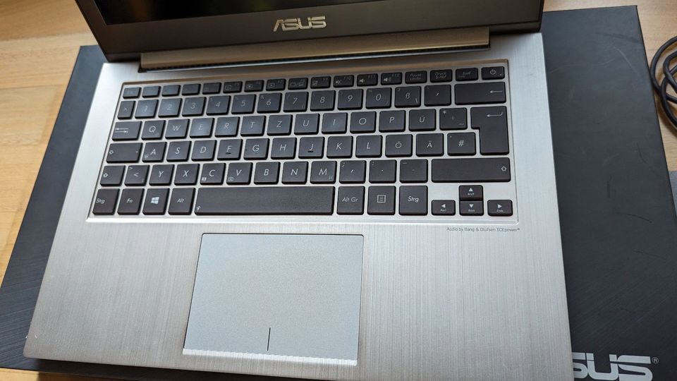 ASUS Zenbook Prime UX31A in Rosengarten