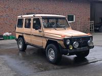 Mercedes Benz G Klasse GD300 Restaurationsobjekt Nordrhein-Westfalen - Altenberge Vorschau