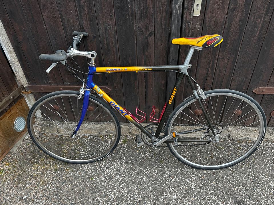 Rennrad Giant Cadex 2 59 Rahmenhöhe Carbon in Meerane