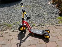 Puky Roller R1 Scooter Schleswig-Holstein - Bad Segeberg Vorschau