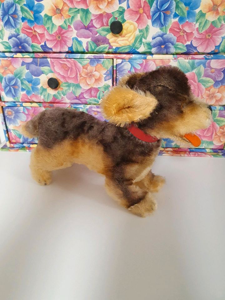 Steiff - Dackel "Lumpi" 18 cm in Köln