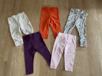 5 Leggings 74 Mädchen lila rosa grau rot Punkte H&M Tom Tailor Niedersachsen - Selsingen Vorschau