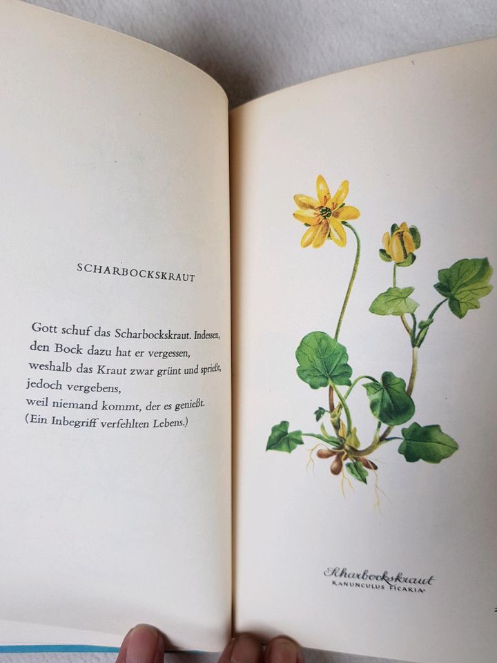 K. H. Waggerl "Heiteres Herbarium", signiert in Mildstedt