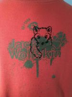 Jack Wolfskin Gr. 116 Pulli Jungen Mädchen Marke GRATIS Brandenburg - Pritzwalk Vorschau