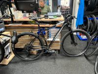 Willier Triestina-503X-SX-29’Zoll Mountainbike Rh‘50‘cm Neuwertig Friedrichshain-Kreuzberg - Kreuzberg Vorschau