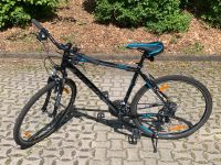 Kellys Cliff 10 Black Blue Fahrrad Sachsen - Oederan Vorschau