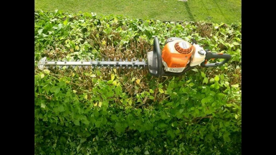 Vermiete Stihl Benzin Heckenschere Hecke Thuja Strauch schneiden in Moosbach b. Vohenstrauß