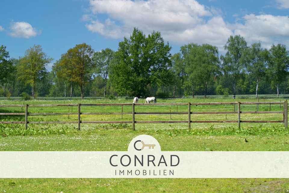 Kompakte Reitanlage - auf die Bedürfnisse von Pferdezucht, Reiten und Training ausgerichtet in Harpstedt