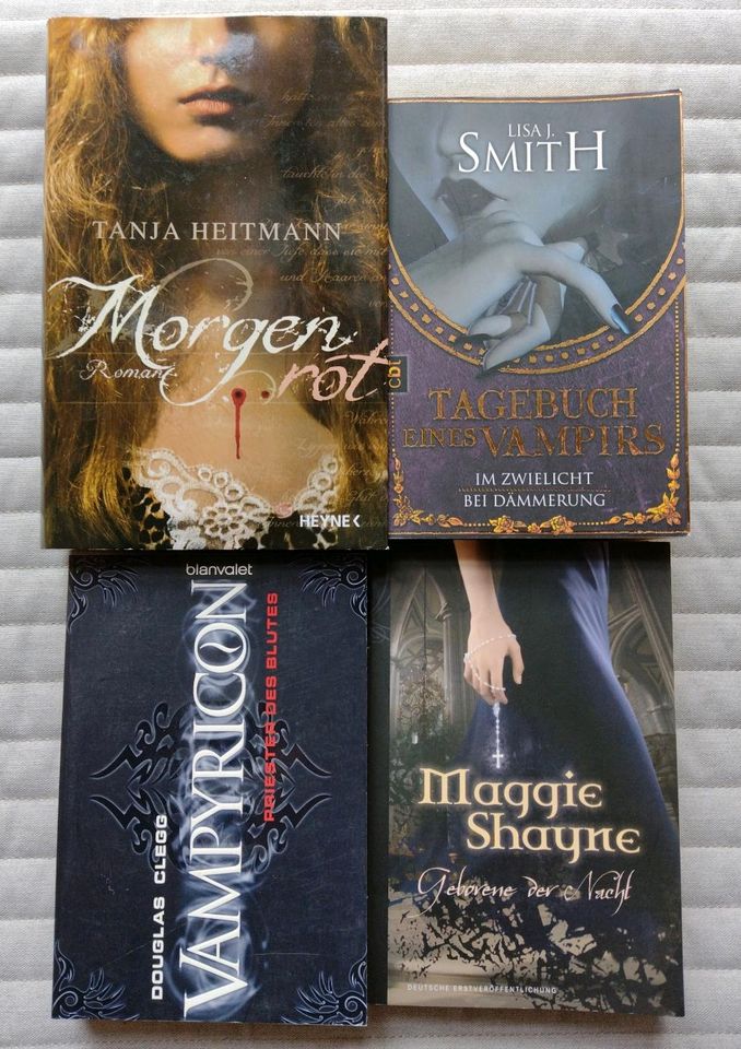 Buchpaket Vampire/ Fantasy in Michelau i. OFr.