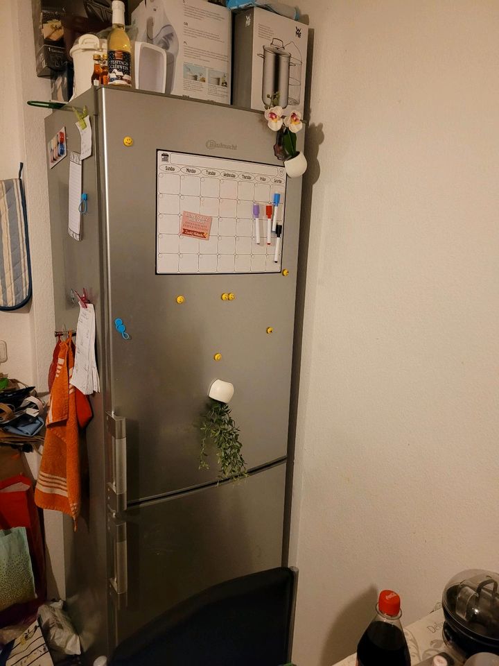 Küche mit Spülmaschine und Kühlschrank in Hosenfeld