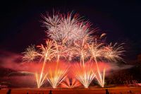 Feuerwerk, Hochzeit,  Geburtstag, Gender Reveal,Events  aller Art Bremen - Vegesack Vorschau