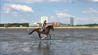 Suche ein sportliches Reitbeteiligungspferd/pony Niedersachsen - Achim Vorschau