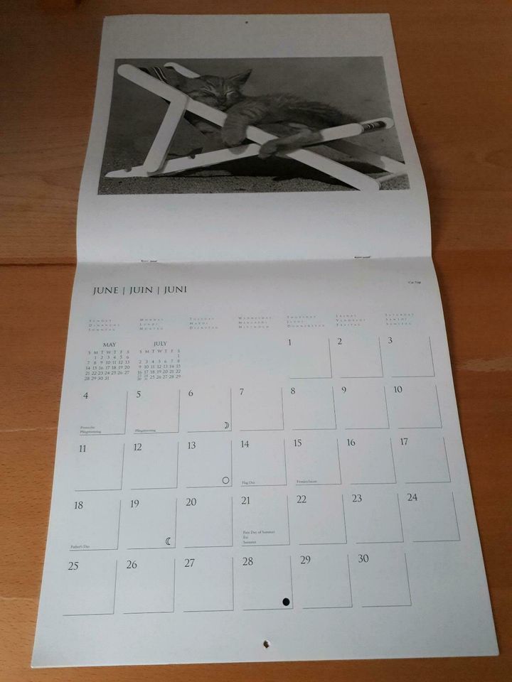 Kalender Classic Cats 1995 von David McEnery in Sulzburg