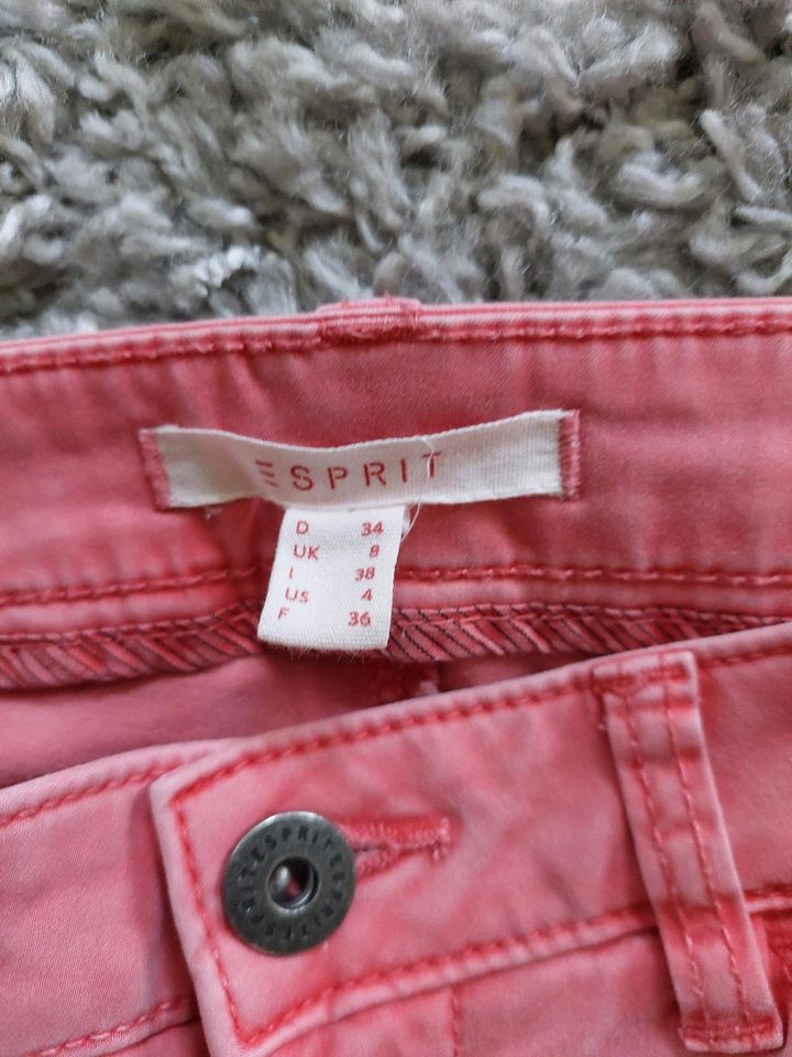 3/4  Hose von Esprit, 34, pink in Kamen