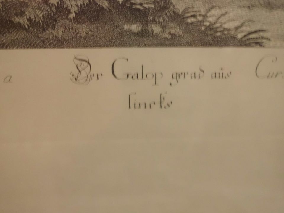 Radierung Original " Le Galop Gauche " / Antik!! `1740 in Deggingen