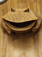 Vintage Rattan Zeitungsständer Frosch (Oliver Cajan) Hessen - Viernheim Vorschau