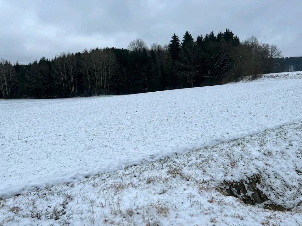 Ackerland in Neukirchen (Sulzbach-Rosenberg) in Neukirchen bei Sulzbach Rosenberg