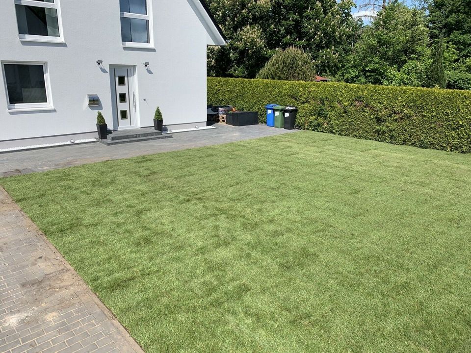 Gärtner...Gartenhilfe...Hecke schneiden...Gartendauerpflege.. in Brokstedt