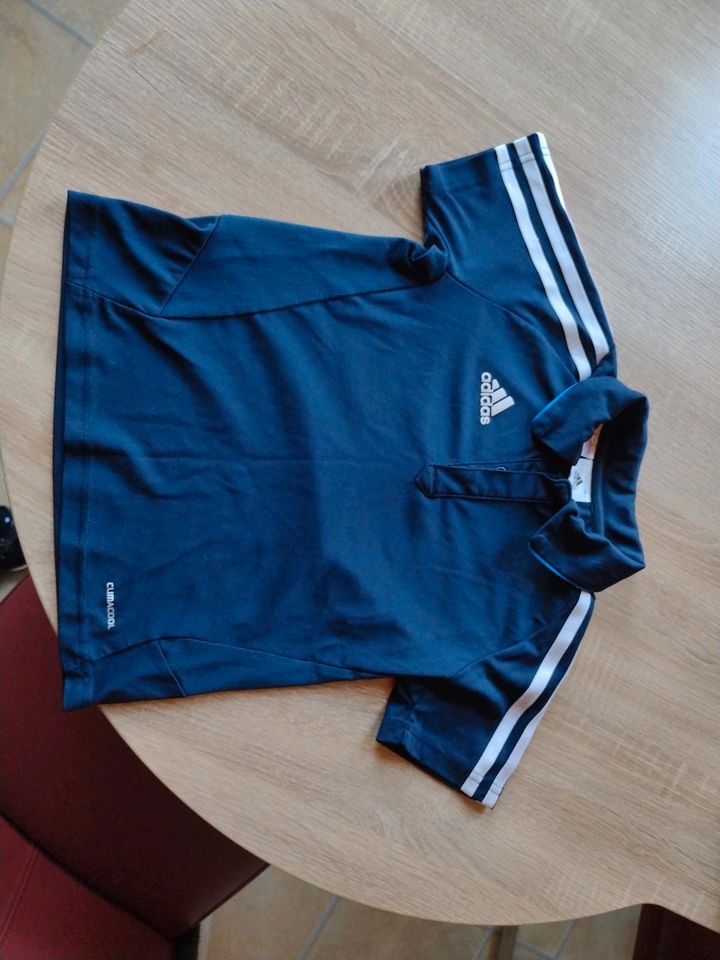 Adidas Sport - Shirt, 116 in Treuen