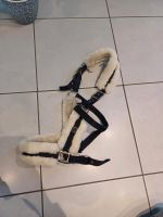 Riderschoice Halfter Fell WB navy fauxfur Nordrhein-Westfalen - Hamm Vorschau