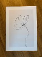 Line Poppy Poster von Desenio - Mohnblume - 50x70cm Niedersachsen - Lüneburg Vorschau