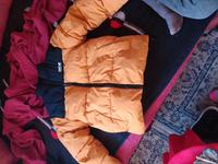 Steppjacke FSNB gr XS Baden-Württemberg - Renningen Vorschau