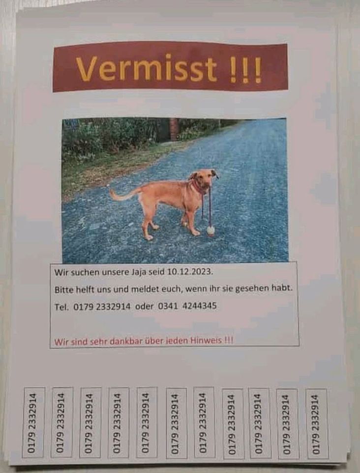 Hund entlaufen in Leipzig