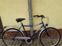 Herrenfahrrad Sachsen - Reinsdorf Vorschau