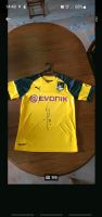 Fußballtrikot BVB Trikot mit Autogramm signiert original Nordrhein-Westfalen - Witten Vorschau