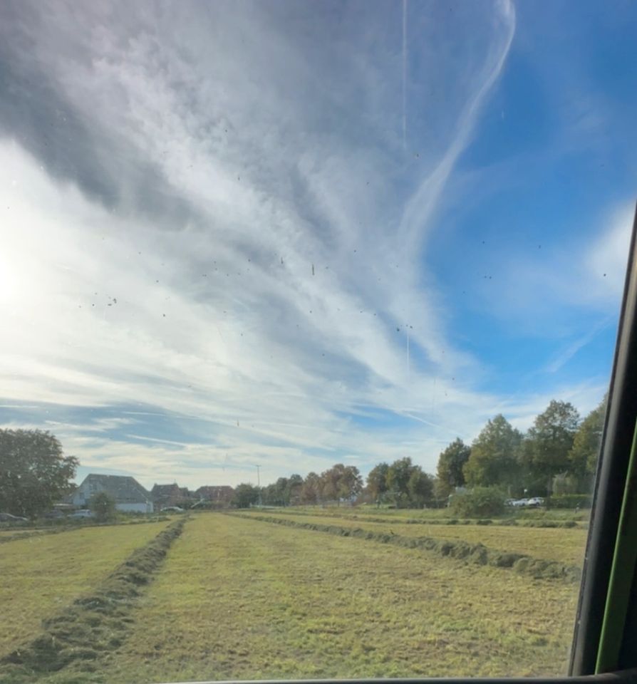 Silage letzter Schnitt Herbstschnitt in Geldern