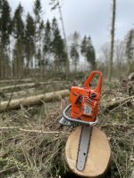 Forst Forstdienstleistungen Holzeinschlag Abstocken Rückegassen Mecklenburg-Vorpommern - Jabel Vorschau