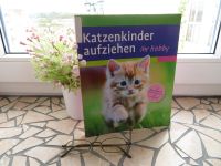 Katzenkinder aufziehen -  Ein praktischer Ratgeber - Mark Evans Bayern - Hofkirchen Vorschau