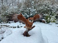 Eule auf Baumstamm Dekoration Vogel Rheinland-Pfalz - Waldbreitbach Vorschau