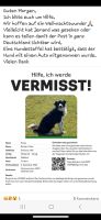 ‼️‼️Ronja immer noch Vermisst ‼️‼️‼️ Nordrhein-Westfalen - Geilenkirchen Vorschau