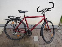 Müsing Herren Trekking Fahrrad (Alurahmen, 28 Zoll, RH 53 cm) Bayern - Dießen Vorschau