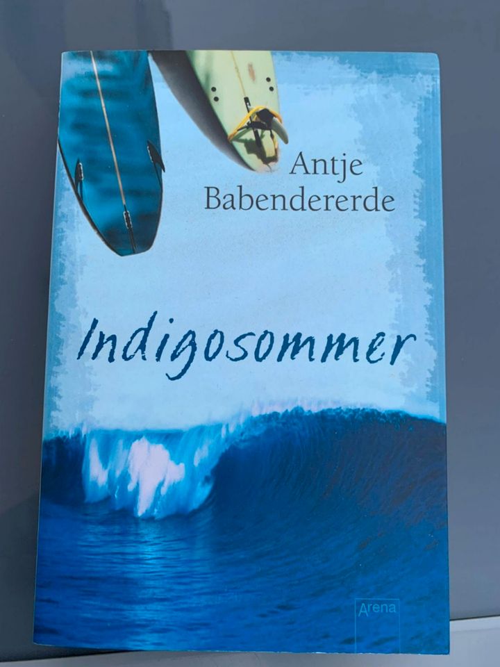 Taschenbuch Indigosommer Antje Babendererde wie Neu in Königswinter