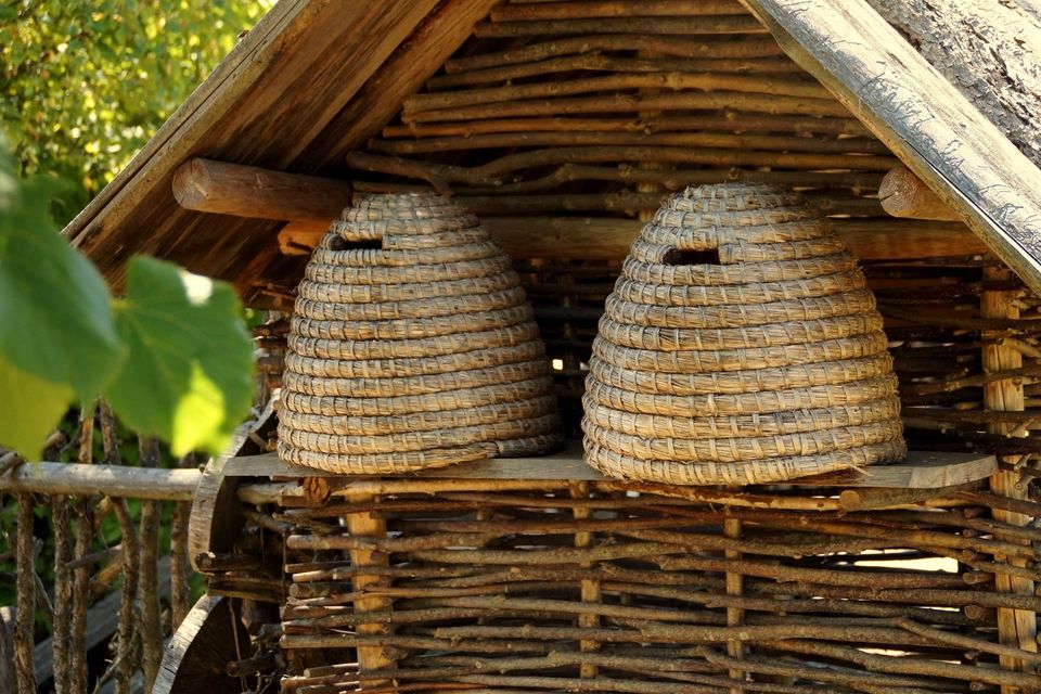 Bienenpatenschaft - Honigsüßes Bienenabenteur in Much