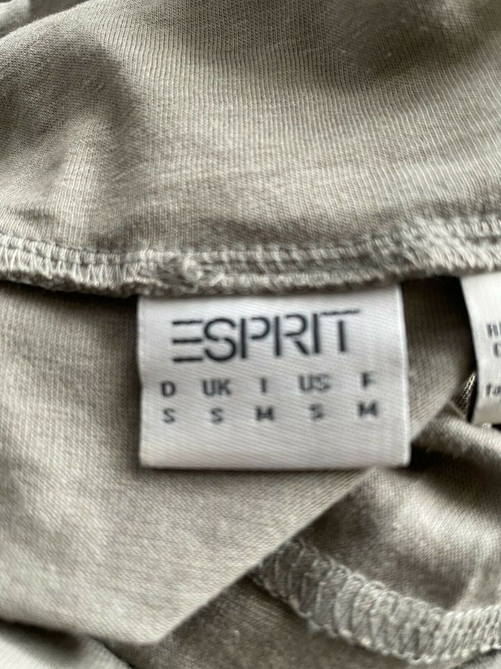 Esprit Shirt in Sulzberg