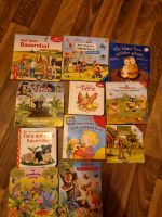 Pappbilderbuch Kinderbücher Babybuch Sachsen - Bad Dueben Vorschau