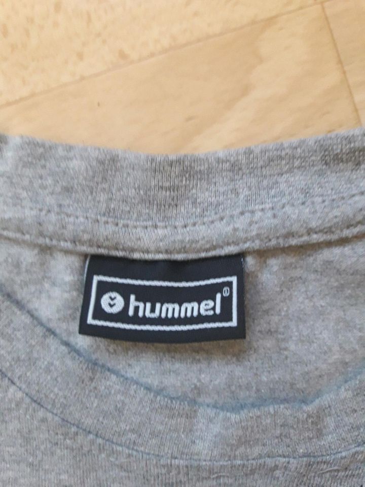 Kinder Hunmel Tshirt Shirt grau 146 in Emsbüren