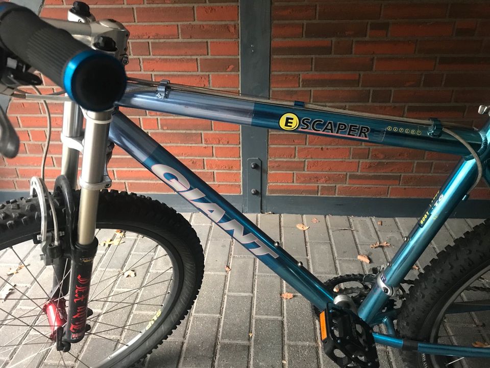 Giant Mountainbike 26 Zoll bis Sonntag 250 € in Wernsdorf