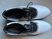 Mizuno Golfschuhe wie neu, Gr. 42, US 9,5, UK 8,5 Schleswig-Holstein - Bordesholm Vorschau